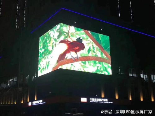 戶外小間距P3全彩高清LED廣告屏參數(shù)及造價預(yù)算解析